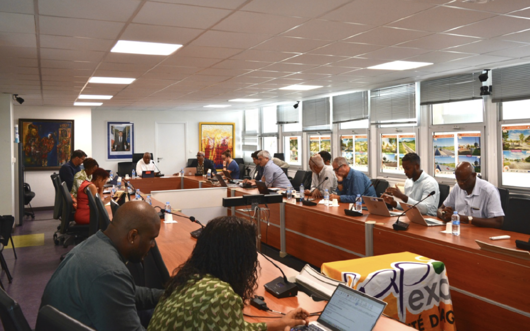 Projet TCPS Kéti : le 1er comité de pilotage de l’année