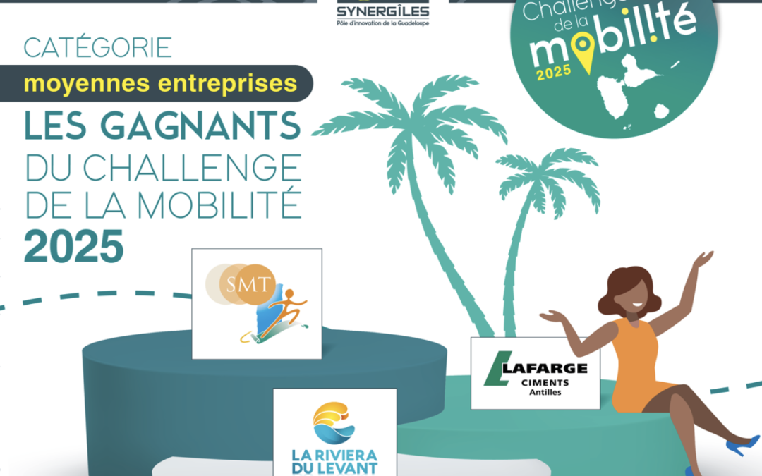 𝗖𝗵𝗮𝗹𝗹𝗲𝗻𝗴𝗲 𝗱𝗲 𝗹𝗮 𝗠𝗼𝗯𝗶𝗹𝗶𝘁𝗲́ : 𝗠𝗶𝘀𝘀𝗶𝗼𝗻 𝗮𝗰𝗰𝗼𝗺𝗽𝗹𝗶𝗲