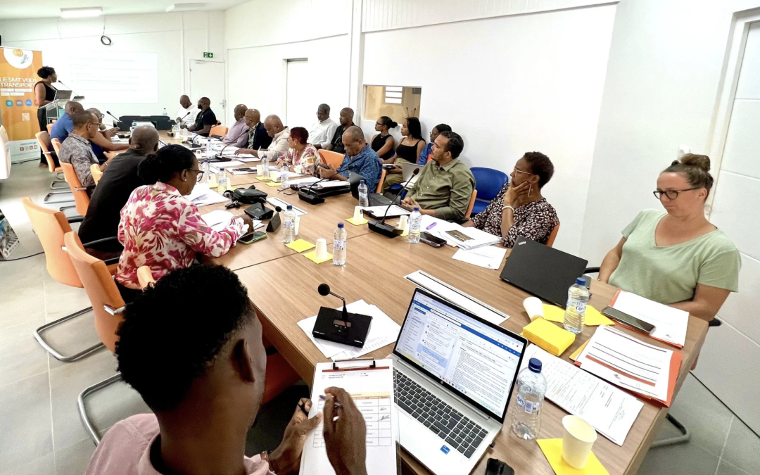 𝟱𝗲 𝗖𝗼𝗺𝗶𝘁𝗲́ 𝘀𝘆𝗻𝗱𝗶𝗰𝗮𝗹 𝗱𝗲 𝗹&rsquo;𝗮𝗻𝗻𝗲́𝗲 : 𝗱𝗲́𝘃𝗲𝗹𝗼𝗽𝗽𝗲𝗺𝗲𝗻𝘁 𝗱𝘂 𝗧𝗖𝗦𝗣 𝗞𝗲́𝘁𝗶 𝗲𝘁 𝗿𝗲𝗻𝗳𝗼𝗿𝗰𝗲𝗺𝗲𝗻𝘁 𝗱𝗲 𝗹𝗮 𝗽𝗼𝗹𝗶𝘁𝗶𝗾𝘂𝗲 𝘀𝗼𝗰𝗶𝗮𝗹𝗲